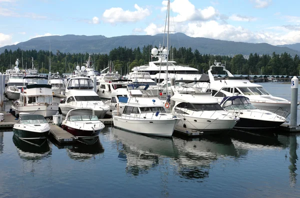 Yachts de luxe à Vancouver BC marina. Canada . — Photo