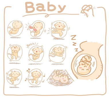 Baby inside womb set clipart