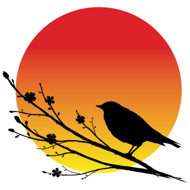 Nightingale on sakura branch clipart