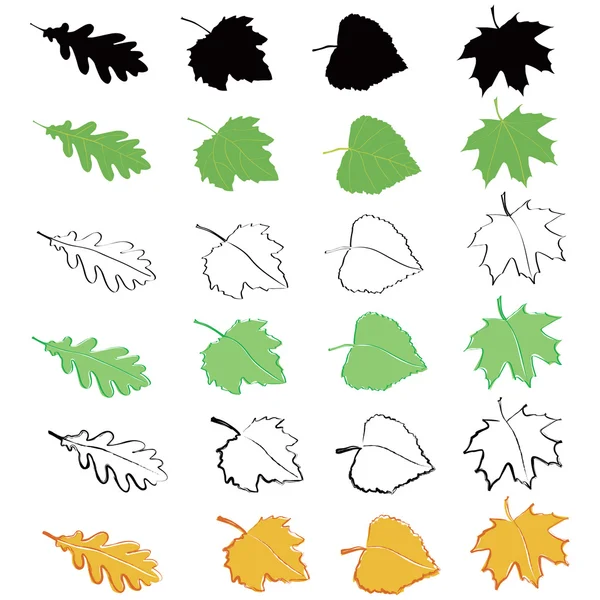 Leaves — Stock Vector