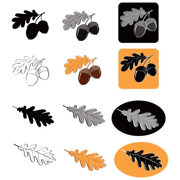 Glands et feuilles de chêne — Image vectorielle