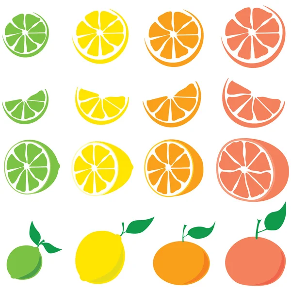 柑橘系の果物 — ストックベクタ