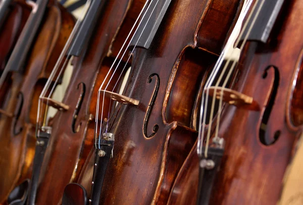 Violins — Stock Photo, Image