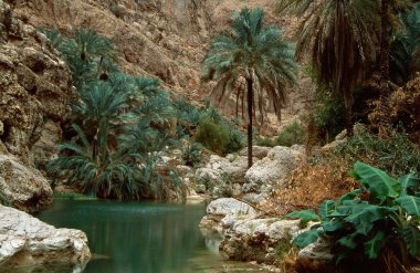 Wadi Shab clipart