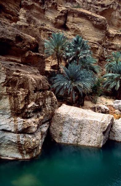 Wadi Shab. — Foto de Stock