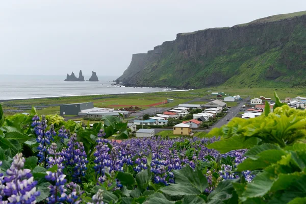De IJslandse stad vik — Stockfoto