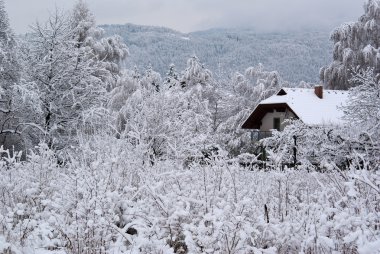 carinthia kışın