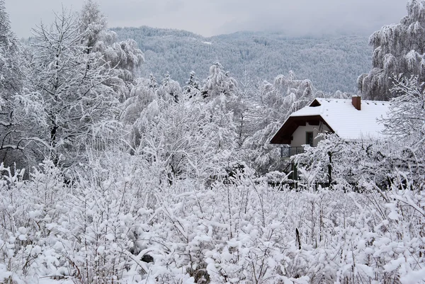 Vinter i Kärnten — Stockfoto