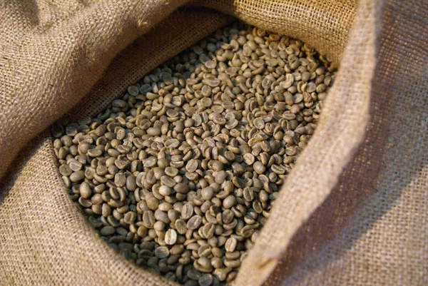 stock image Fresh Coffee Beans