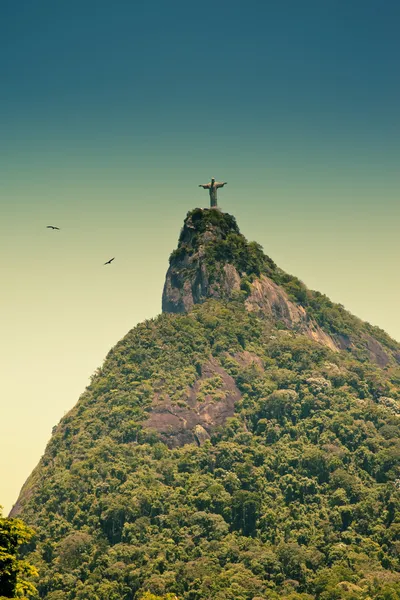 Corcovado Rio De Janeiro Brasil — Fotografia de Stock