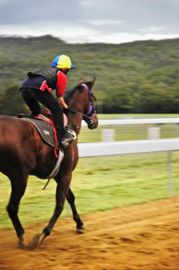 Horse racing on the tracks clipart