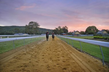 Race horses on the track at sunrise clipart