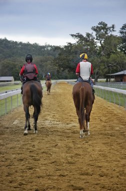 Jockeys on horses riding on race track clipart