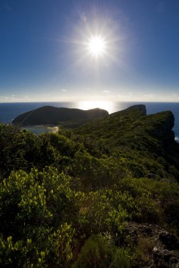 Mountain Lord Howe Island clipart