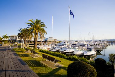 Boardwalk and marina berths at Hope Island Marina clipart