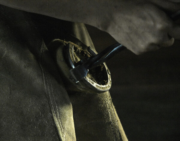 Гвоздь на подкову
