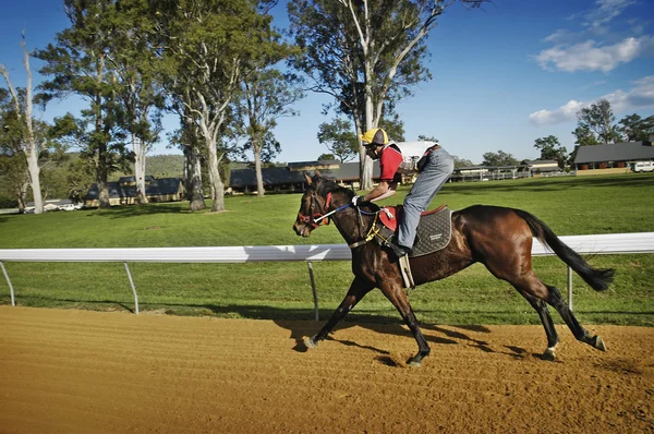 Race paard opleiding op de tracks — Stockfoto