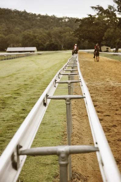 Two horses walking on the race track — Stock Photo, Image