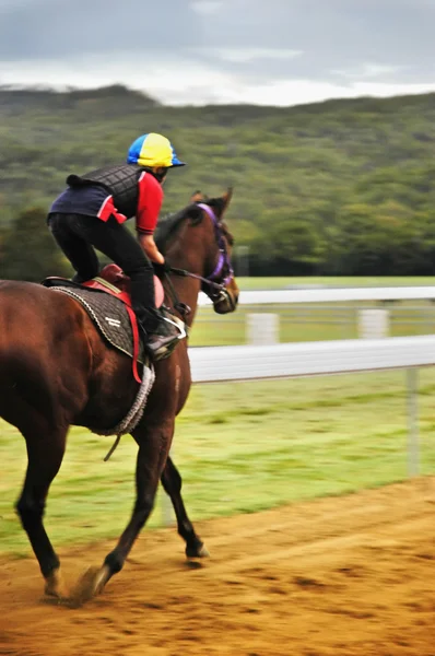 Corrida de cavalos nas pistas — Fotografia de Stock