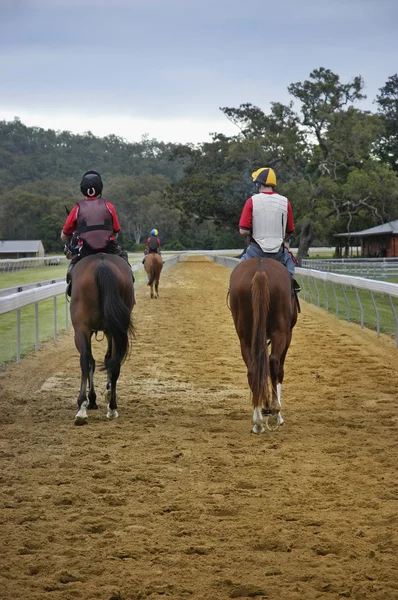 Jockeys on horses riding on race track — Stock Photo, Image