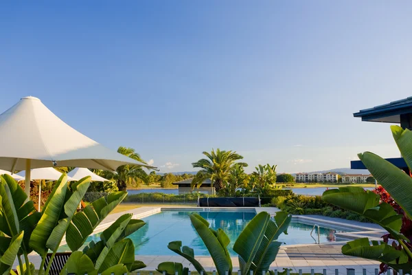 Espace piscine avec parasols et feuilles de palmier — Photo