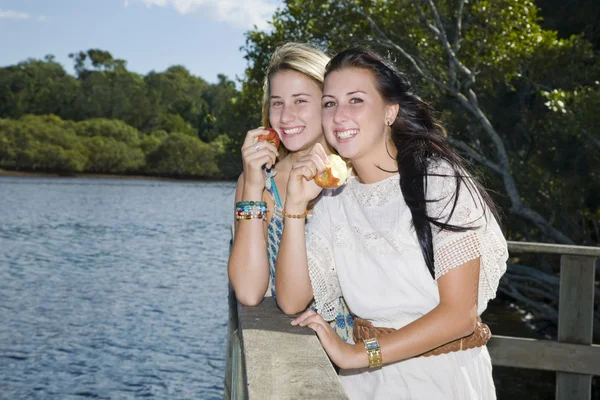 Две девочки едят яблоки у ручья в солнечный день — стоковое фото