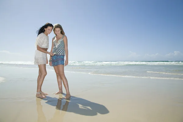 Zusters kijken naar shell op strand — Stockfoto