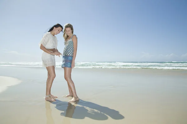 Sestry při pohledu na shell na pláži — Stock fotografie