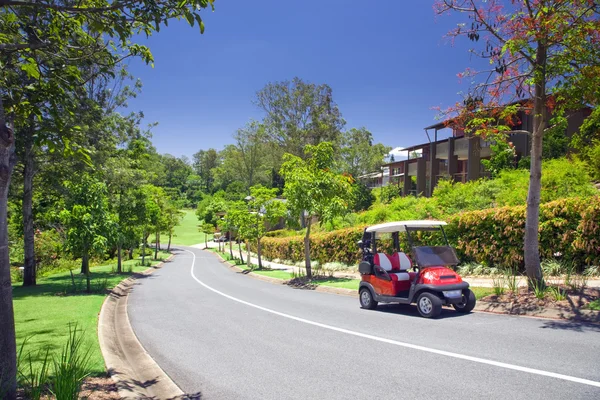 Golfplatz mit Wald und Platz mit Buggy im Vordergrund — Stockfoto