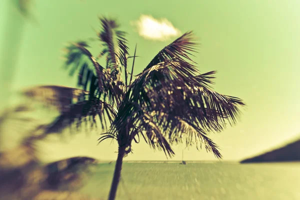 Belo paraíso ilha — Fotografia de Stock