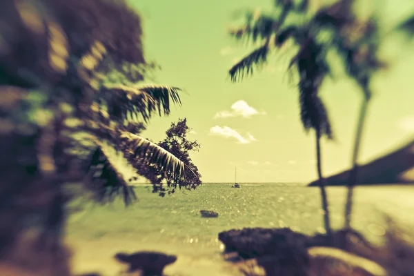 Prachtige eiland paradijs — Stockfoto