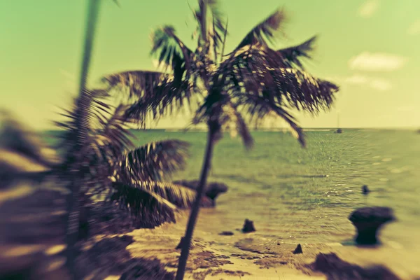 Prachtige eiland paradijs — Stockfoto