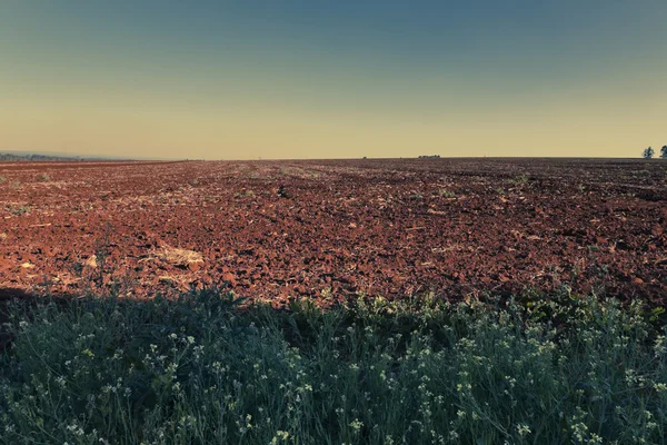 Outback-Landschaft — Stockfoto