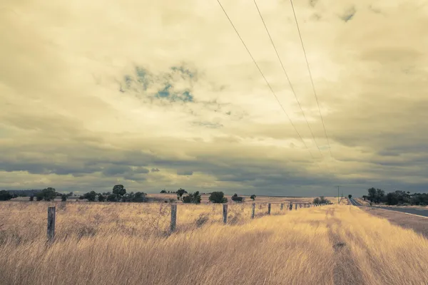 Outback-Landschaft mit dramatischem Himmel und gelbem trockenen Gras — Stockfoto