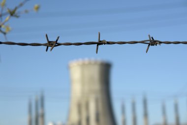 Champ de maïs à la récolte