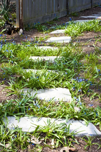 Stenen gångväg — Stockfoto