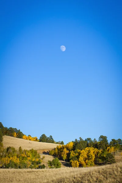 Moon in Colorado — Stock Photo, Image