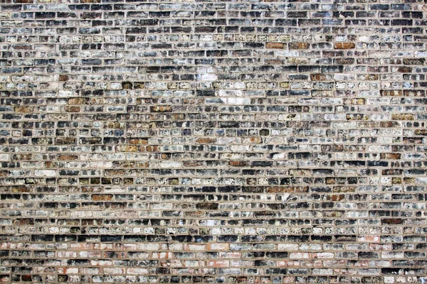 stock image Urban Background (Brick Wall)