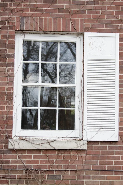 古い窓 — ストック写真