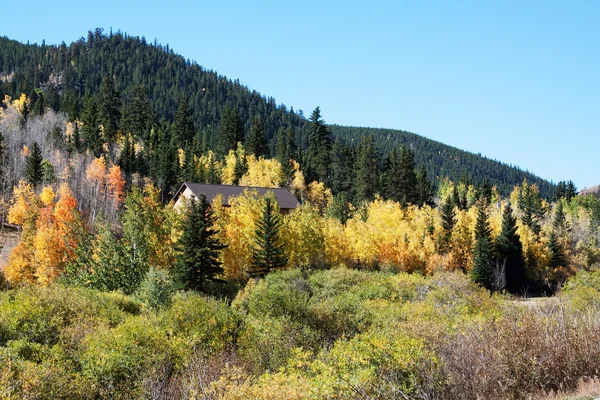 Podzim v Coloradu — Stock fotografie