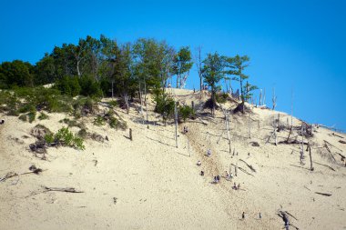 büyük dune