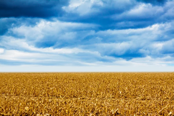 Amerikansk mark med mulen himmel och fog i bakgrunden — Stockfoto