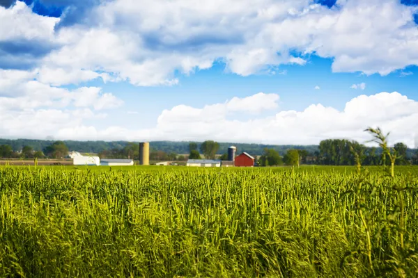Alan arka plan bulanık çiftlik binaları ile — Stok fotoğraf