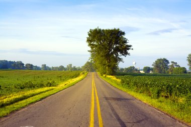 güneş ışığı ile Amerikan yol