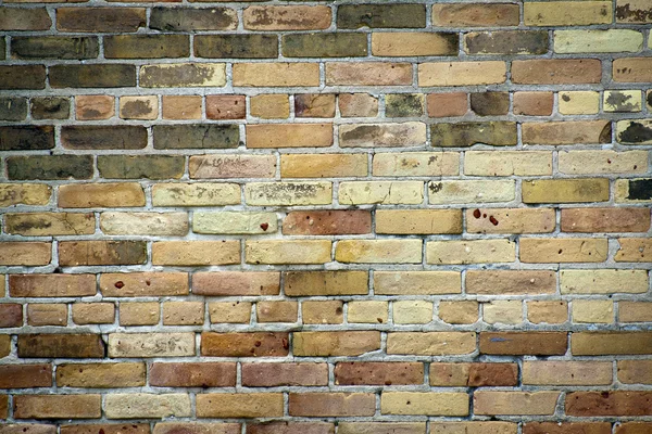 Yaşlı, krank ve kirli hafif kahverengi tuğla duvar — Stok fotoğraf