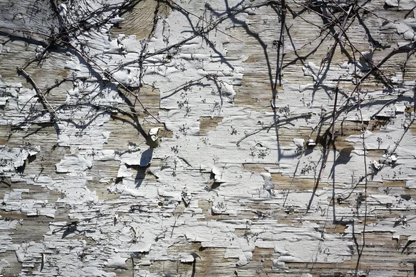 Stock image Old Painted Wooden Wall