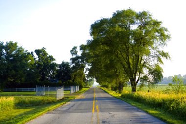 güneş ışığı ile Amerikan yol