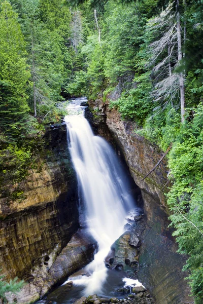 在绿色的森林，美国密歇根州大瀑布 — 图库照片