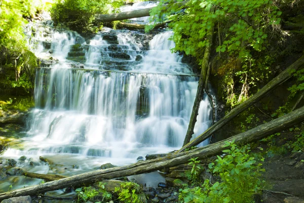 Wodospad w zielonym lesie, michigan, Stany Zjednoczone Ameryki — Zdjęcie stockowe