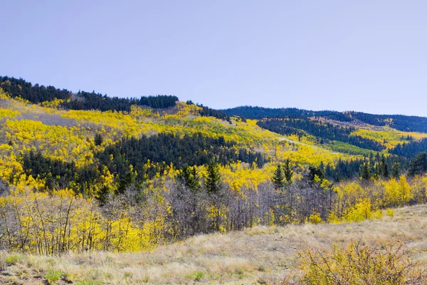 コロラド州の秋の風景 — ストック写真